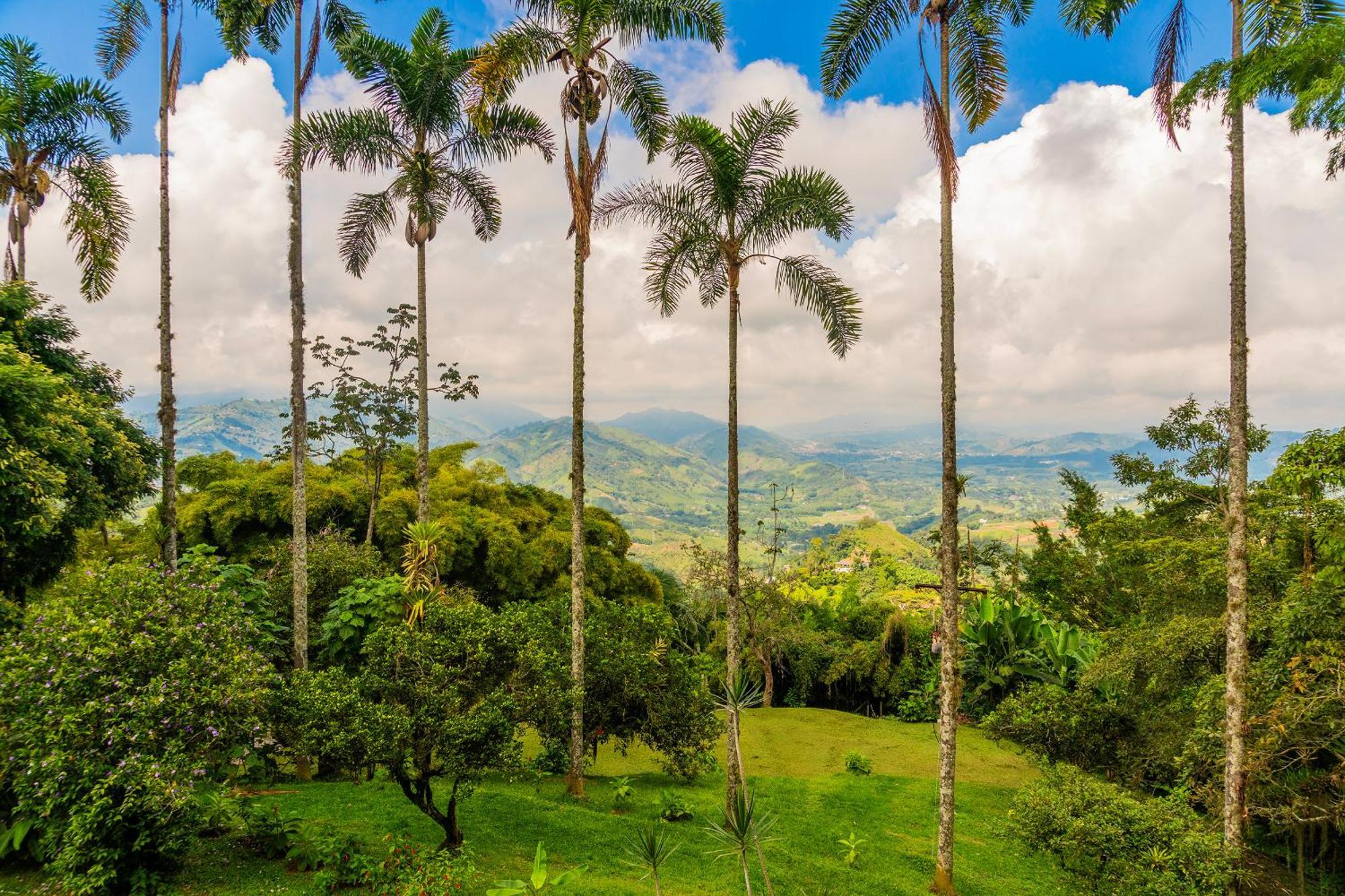 Aldea Sabatinga Villa Manizales Exterior photo